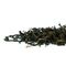 Shentai Hongcha from the Pu'er region