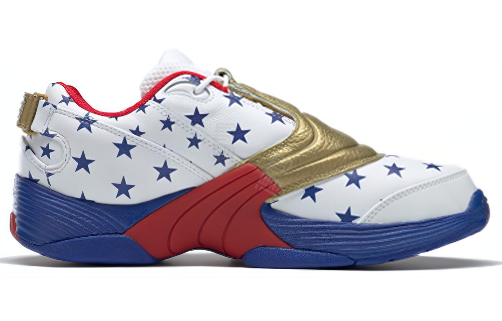 Кроссовки Reebok Answer V Mu Pu