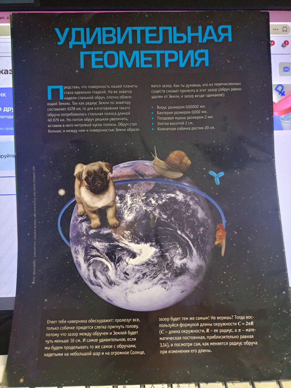 Юный эрудит, журнал №7/2021