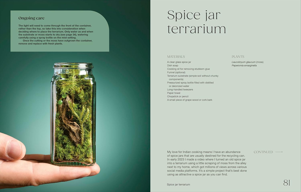 Hello Tiny World: An Enchanting Journey into the World of Creating Terrariums