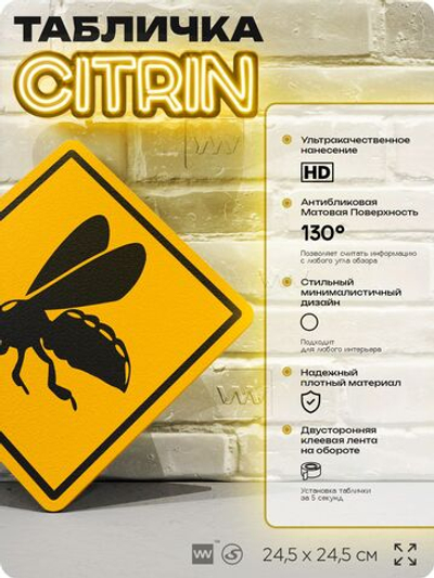 Табличка прикольная "Осторожно, пчелы" на дверь и стену, информационная и предупреждающая, декоративный знак, 24,5х24,5 см, пластиковая, Айдентика Технолоджи