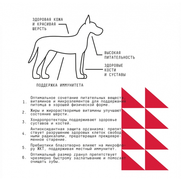 Сухой корм AJO Dog Maxi Adult для взрослых собак крупных пород с гречкой