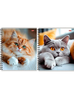 Тетрадь А5 48л. клетка "Милые коты-1" гребень, мелов.облистер (Проф-Пресс)