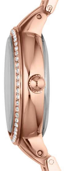 Наручные часы Fossil ES3284