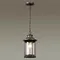 4961/1 NATURE ODL22 733 темно-коричневый/стекло Ландшафтный подвес E27 1*60W IP44 MAVRET