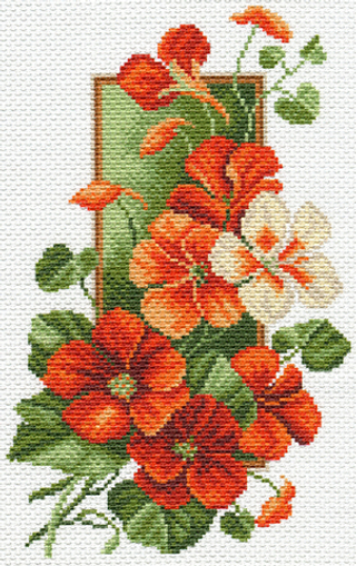 "Настурция"-1600 канва с рисунком
