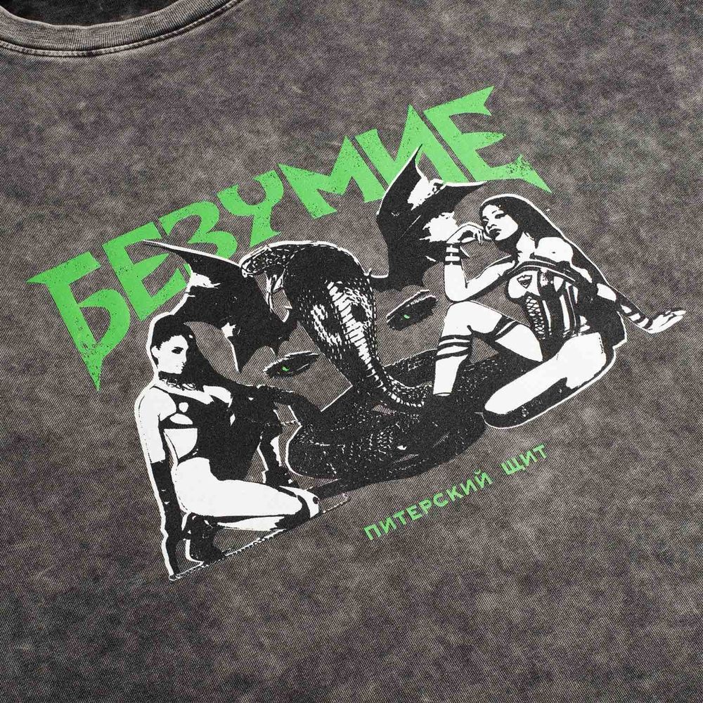 Футболка Питерский щит Безумие темно-серая