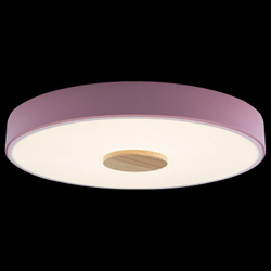 Накладной светильник Loft it 10003/24 Pink