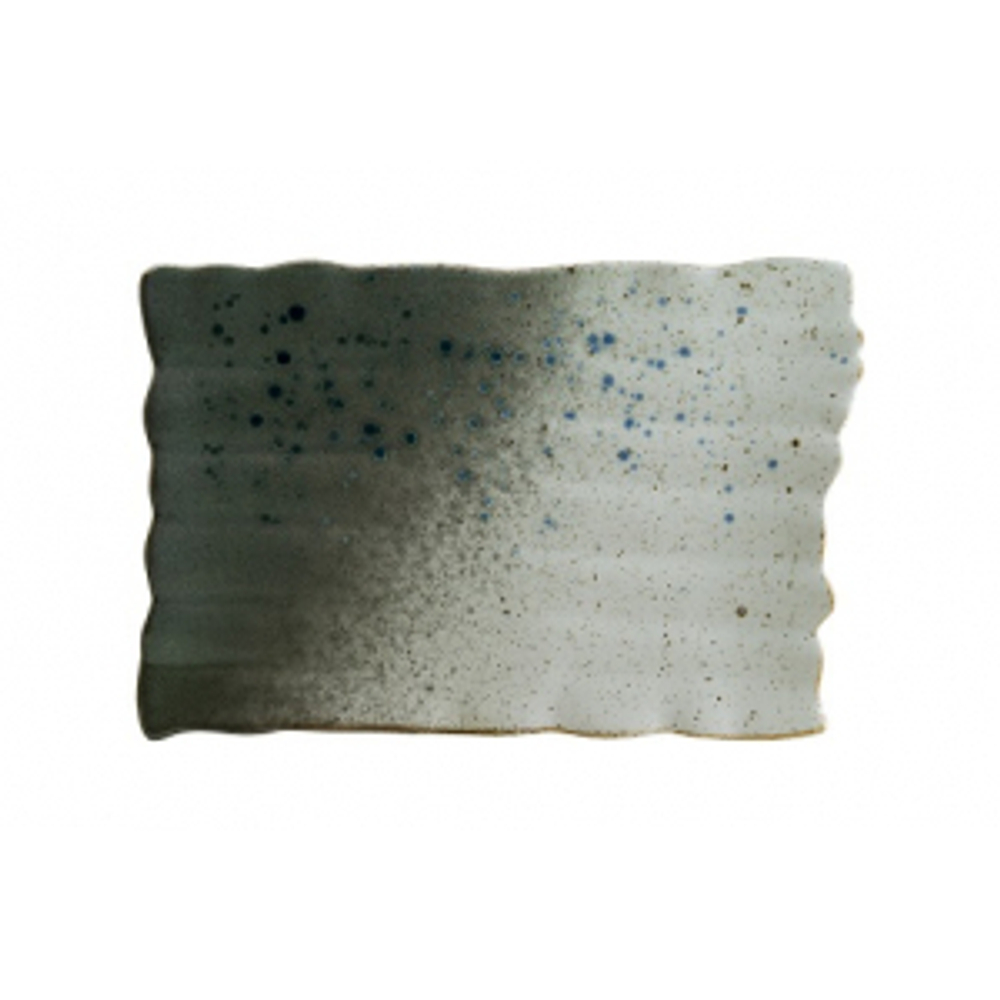 Блюдо прямоуг. 345*210 мм. Гайя (66997)