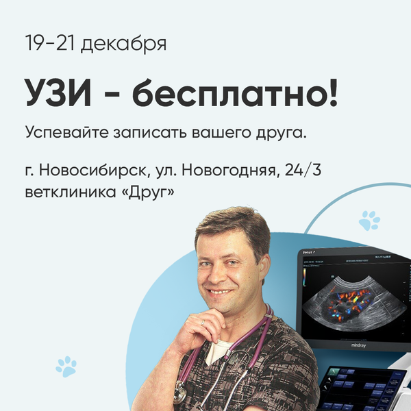 **Бесплатное УЗИ для животных в клинике «Друг»