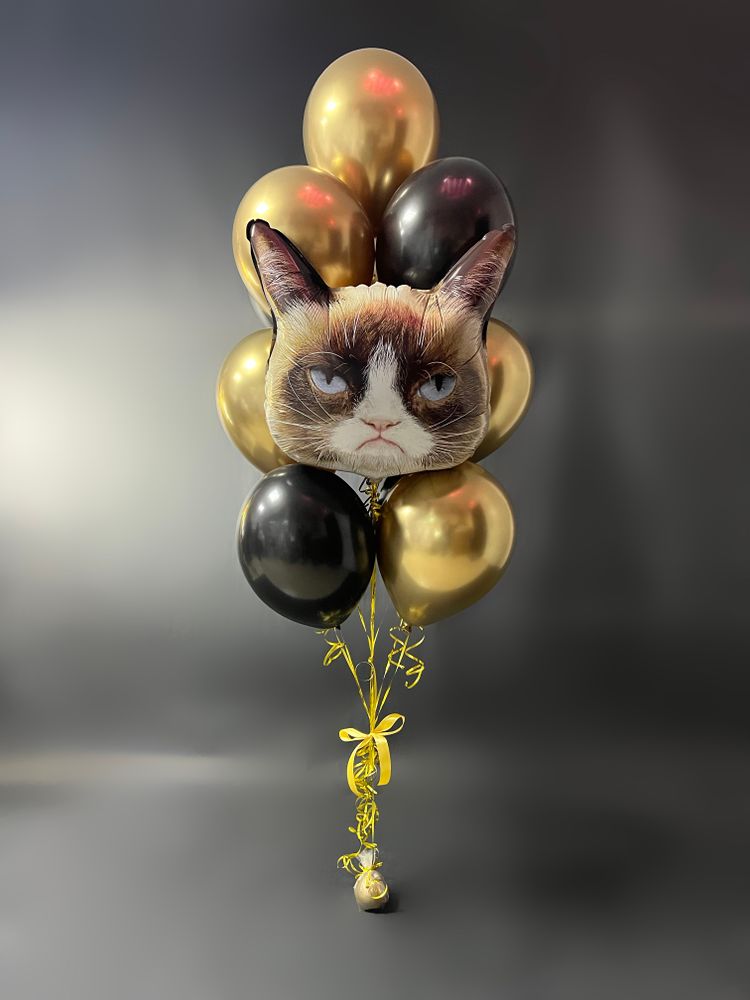 Строгий кот, набор шаров