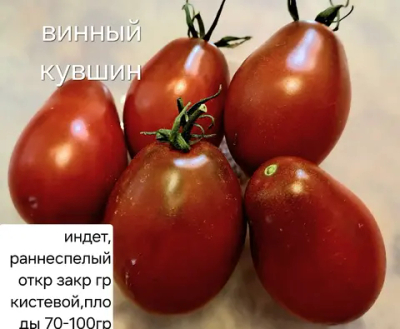 ВИННЫЙ КУВШИН