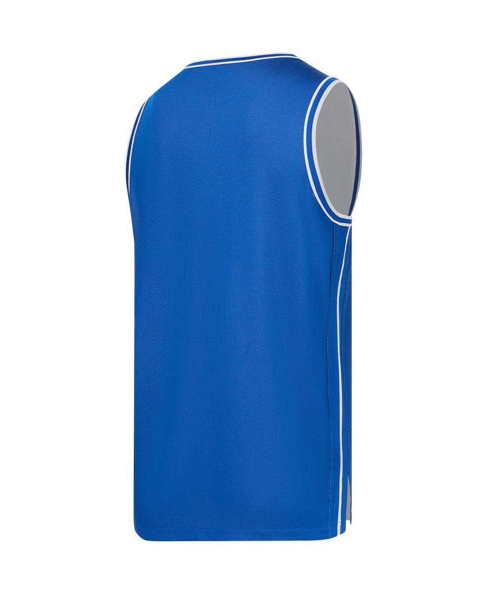 Майка двухсторонняя JÖGEL DIVISION PerFormDRY Double-Side Jersey, синий/белый