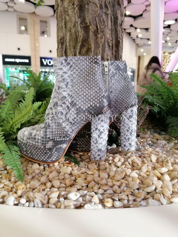 Ботильоны из кожи питона SH-171