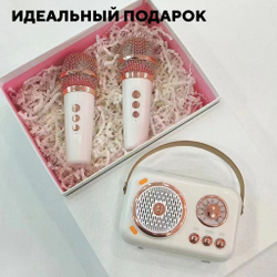Детская караоке колонка, блютуз станция с микрофоном
