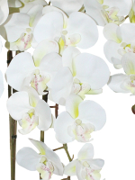 Искусственные цветы Орхидеи 5 веток белые латекс 75см в кашпо