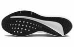 Кроссовки Nike Air Winflo 10