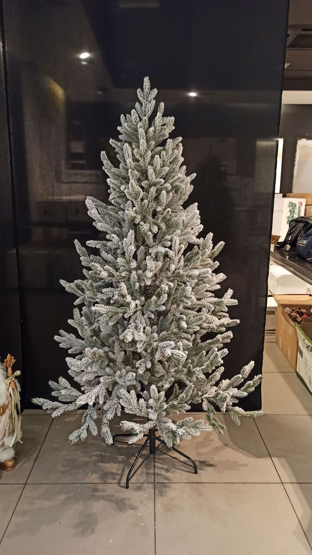 Ель Заснеженная «Нордман» (Литая хвоя) 210 см / 2.1 м