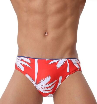 Красные мужские плавки-брифы с принтом в виде пальм (Размер: L) (Цвет: красный)