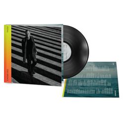 Sting. The Bridge (1 LP) Стинг