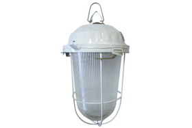 Светильник НСП 02-200-022.01 У2 (с решеткой, стекло, крюк) TDM SQ0310-0004