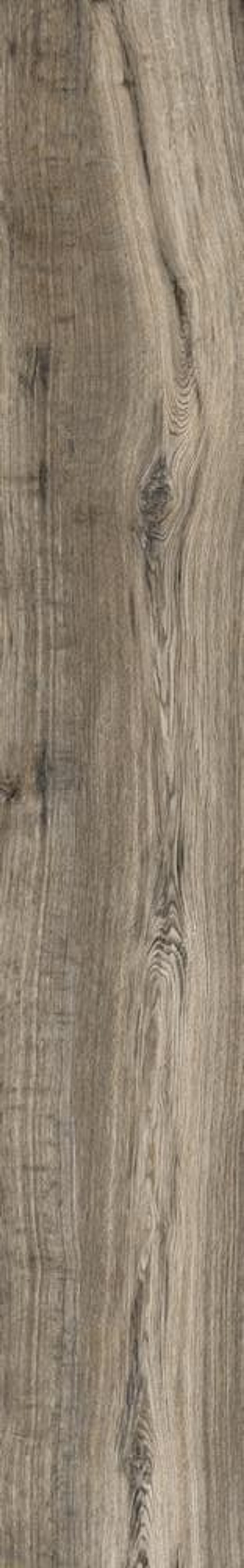 Rondine Living Cenere 15x100