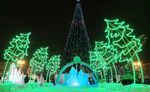 Светодиодная конструкция «Ель склонившаяся»