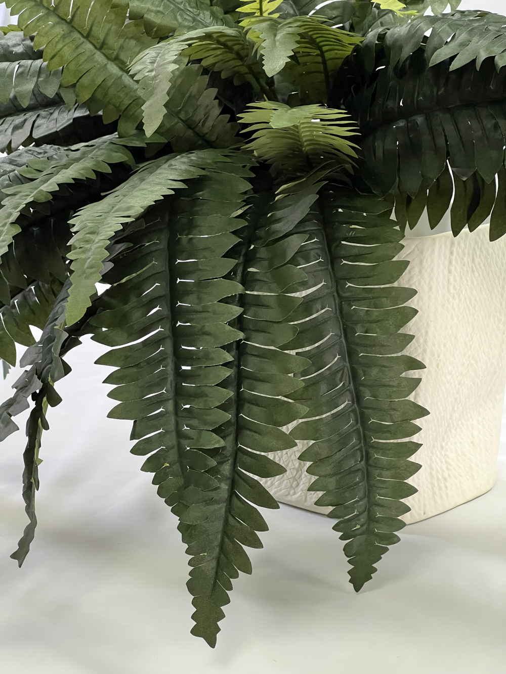 Папоротник Бостон диаметр 65 см