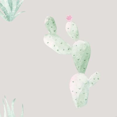 Кактусики серый фон