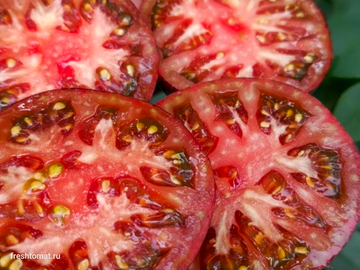 Бифштекс Марши (Marsha’s Starfighter Beefsteak) сорт томата