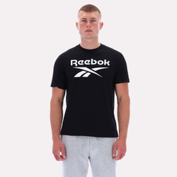 Футболка мужская REEBOK CHAD BIG LOGO CREW NECK SS TEE