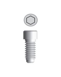 Фиксирующий винт для приливаемого абатмента Int