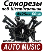 Саморезы под шестигранник 4 х 25 мм черные 64 шт для динамиков акустики автомобильные набор (размер шестигранника 3 мм.) (HEX 3) для колонок и сабвуферов Саморез для динамиков