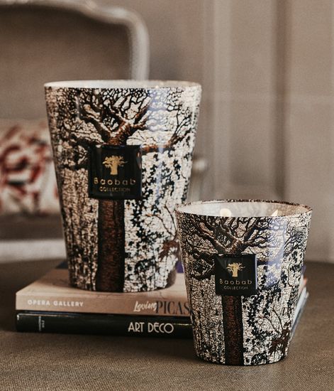 Morondo, свеча MAX 24 Sacred Trees collection, Baobab Collection