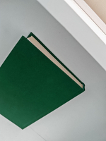 В те грозные годы