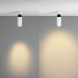 Спот светодиодный Maytoni   C055CL-L12W2.7K-Z-W