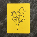 Тюльпаны №20