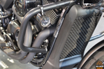 Harley-Davidson Street 750, 2020