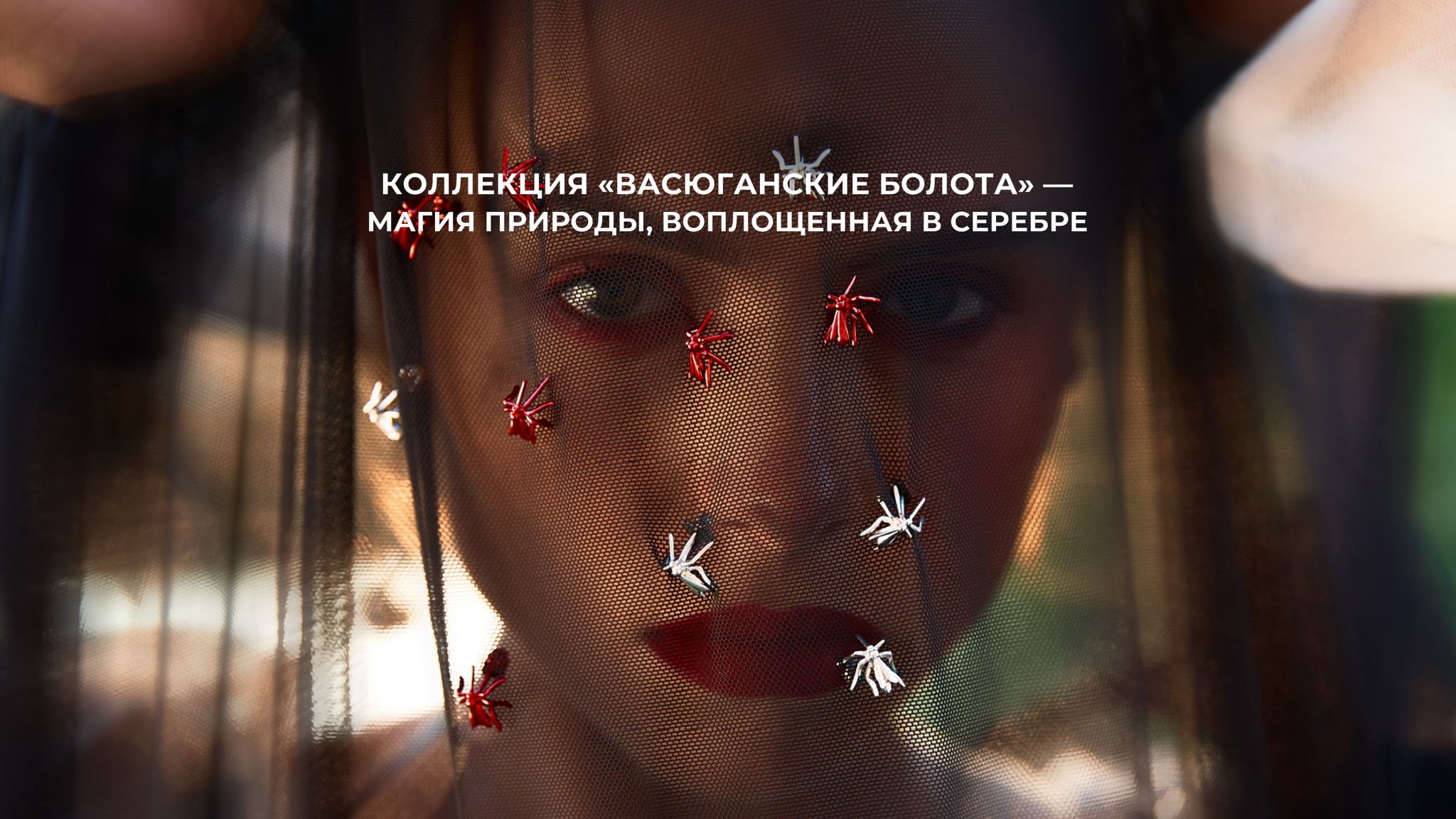 к коллекции
