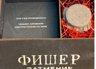 Музыкальные аудиошкатулки из фанеры