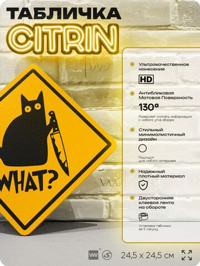 Табличка мем "Кот с ножом" шуточная прикольная табличка на дверь и стену, для офиса и дома, декоративный знак, 24,5х24,5 см, пластиковая, Айдентика Технолоджи