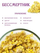 Бессмертник песчаный