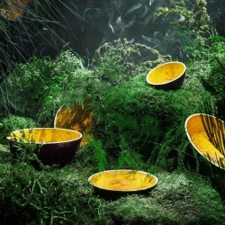 Тарелка десертная Bordallo Pinheiro Tropical Fruits Passion Fruit (21 см)