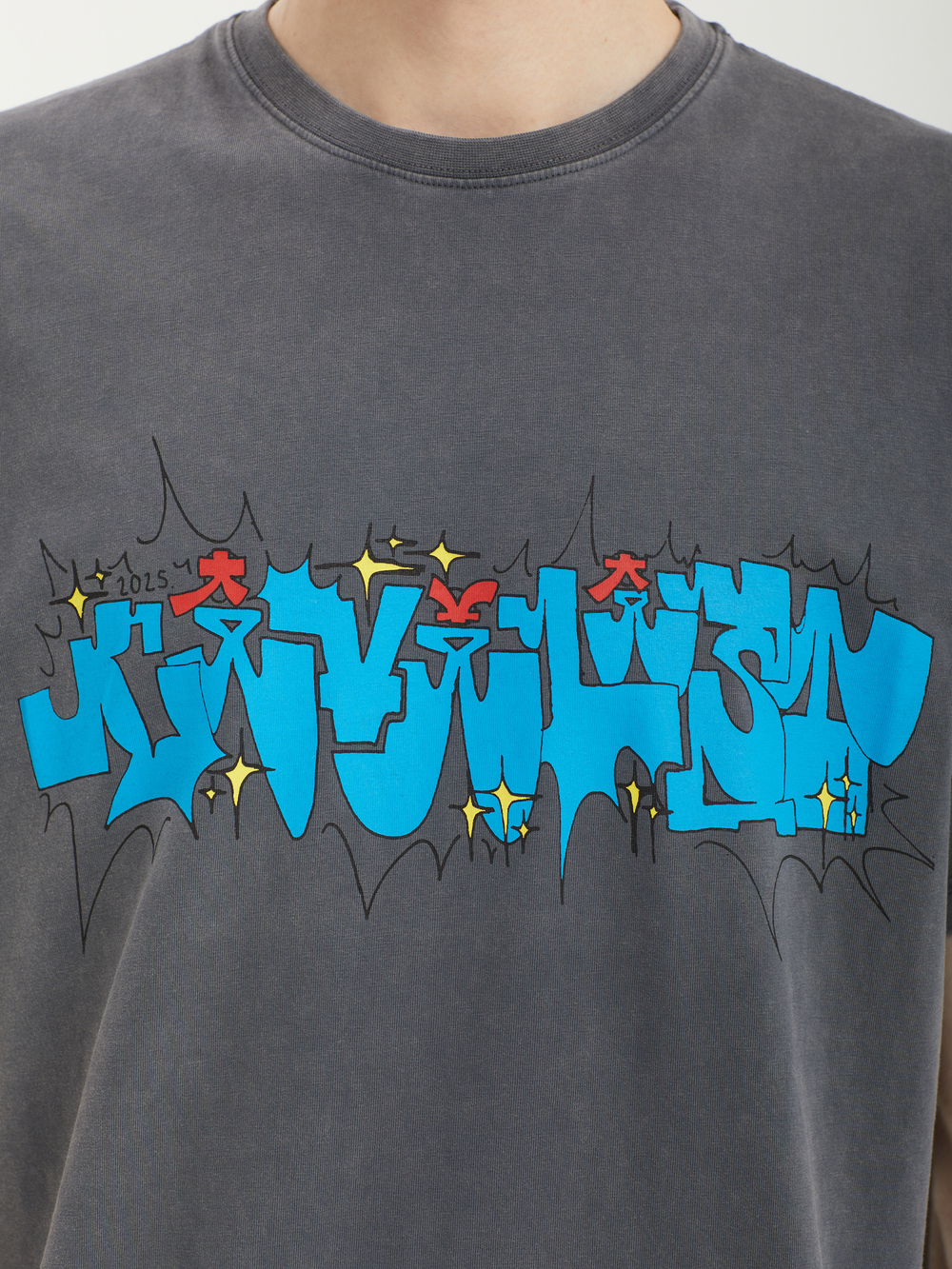 Мужская Футболка Ludi