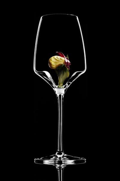 Бокал для белого вина. Башмачок Желто-фиолетовый. Новая коллекция.