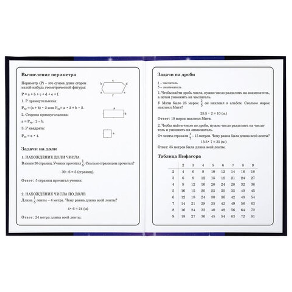 Дневник 1-4 класс 48 л., твердый, BRAUBERG, глянцевая ламинация, с подсказом, "Аниме", 106836