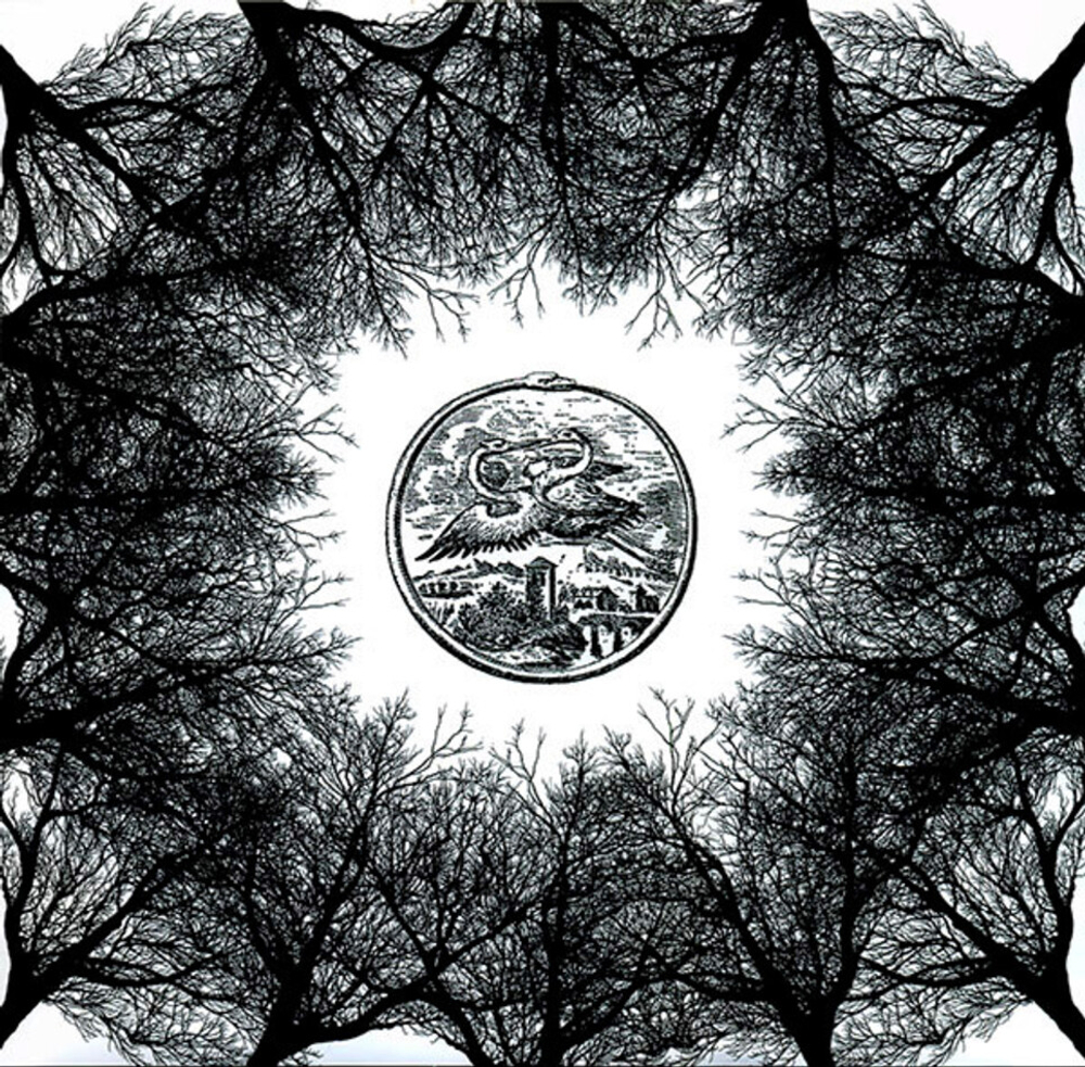 Аквариум / Наша Жизнь С Точки Зрения Деревьев (LP)