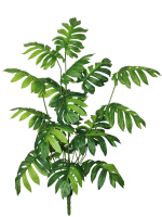 Искусственное растение Филодендрон Ксанаду 100см
