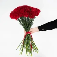 Bouquet of 15 red tulips