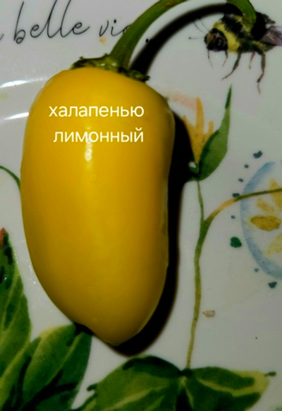 Халапенью Лимон
